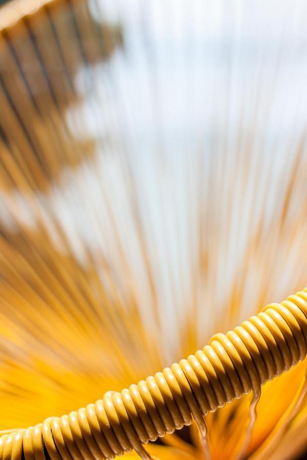 La Maison Des Coquillages *